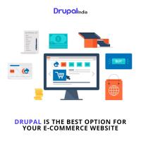 Drupal India: Drupal Development Company image 5